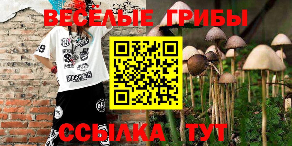 Псилоцибиновые грибы ЛСД Кстово
