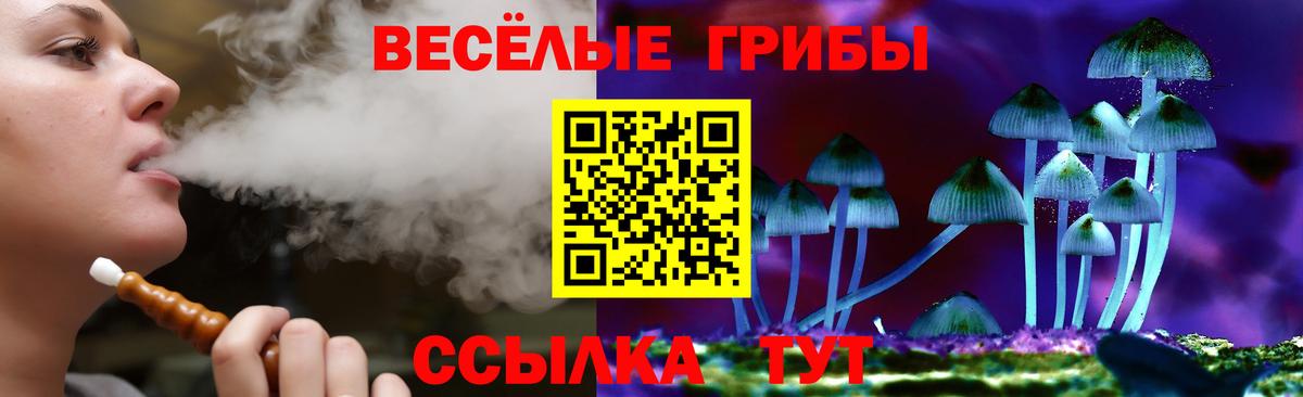 Галлюциногенные грибы ЛСД  сколько стоит  Кстово  Вход с VPN 