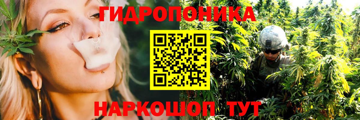 Бошки марихуана AK-47  Конопля ГИДРОПОН  Бошки Шишки ГИДРОПОН  Вход с VPN  Кстово  Бошки марихуана планчик 